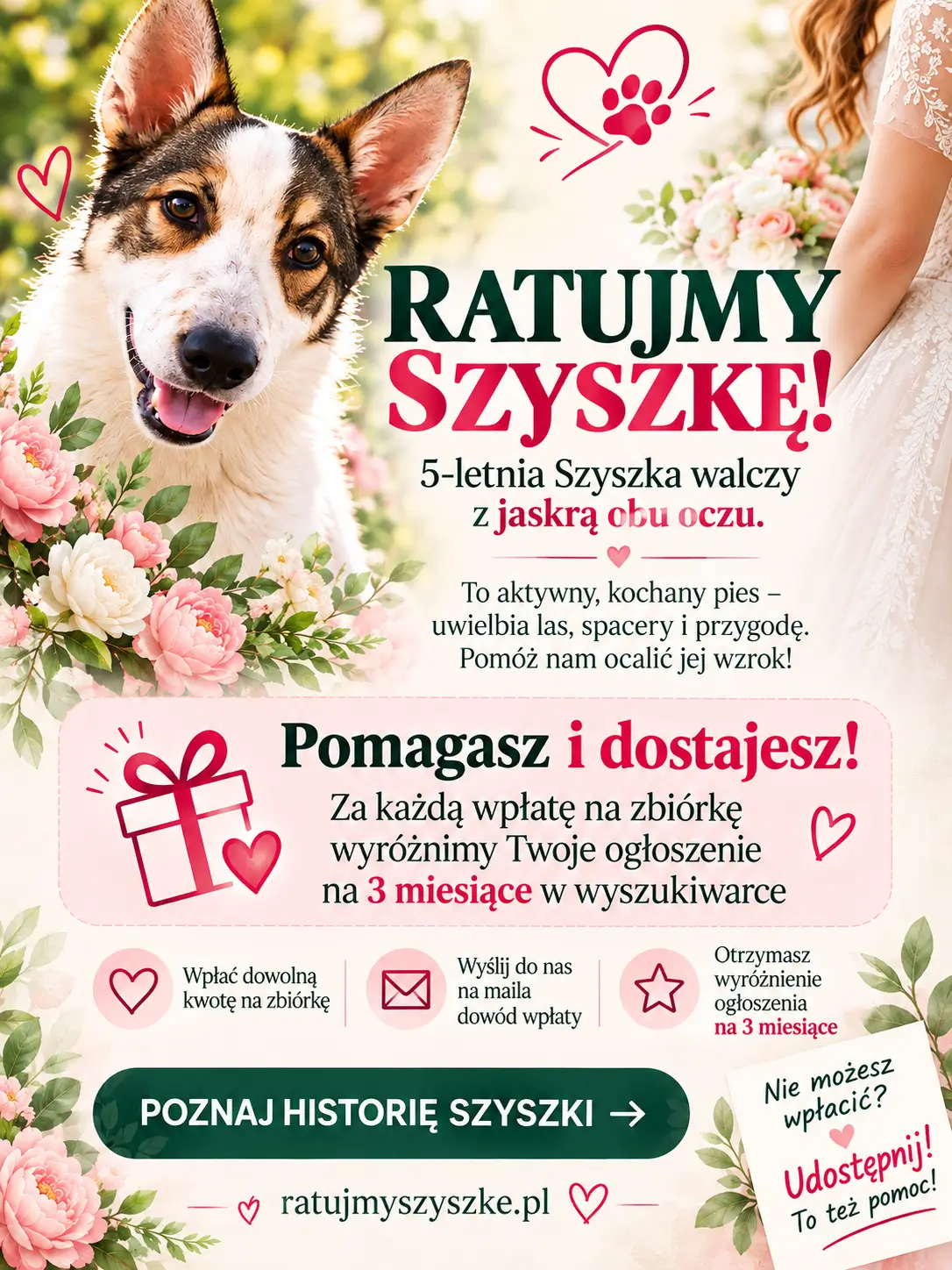 Strona główna - między sekcjami 2