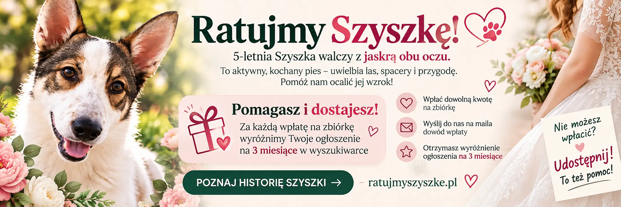 Strona główna - między sekcjami 1